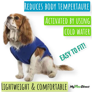 MyPetsDirect Ltd Dog Cooling Coat Vests for Hot Summer Weather / 2 Sizes