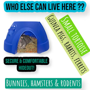 MyPetsDirect Ltd Large Animal Plastic Coloured Domes for Guinea Pigs, Rabbits, Bunnies